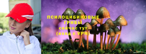 стаф Наволоки