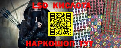 амф Новодвинск
