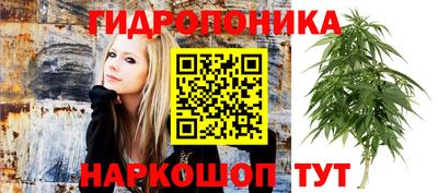 амф Новодвинск