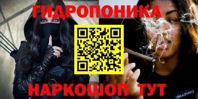 амф Новодвинск