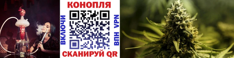 Купить закладки  Ртищево  Бошки Шишки OG Kush 