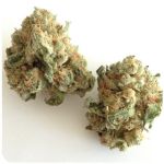 Шишки "White Widow"  (Белая вдова)  Гидропоника -  Бошка VHQ в Ртищево